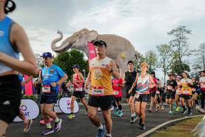 BIB: 
                            <button type="button" onclick="openModal(26528318)" class="btn btn-primary btn-sm float-right btn-popup" data-toggle="modal" data-target=".modal-high-quality">
                        <i class="fas fa-shopping-cart"></i> Add to Cart
                    </button>
                                            <button type="button" onclick="isThisMe(26528318, true)" class="btn btn-success btn-sm float-right btn-popup btn-isme hidden" data-toggle="tooltip" data-placement="bottom" title="นี่คือรูปของคุณใช่ไหม คลิกที่นี่เพื่อเอาเข้าอัลบั้ม">
                        <i class="fas fa-plus"></i> Add to album
                    </button>
                    <button type="button" onclick="isThisMe(26528318, false)" class="btn btn-warning btn-sm float-right btn-popup btn-isnotme hidden">
                        <i class="fas fa-ban"></i> Remove from album
                    </button>